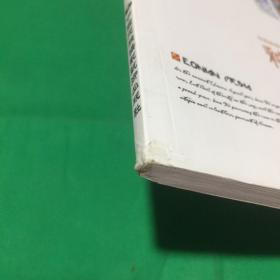 釉上新彩装饰