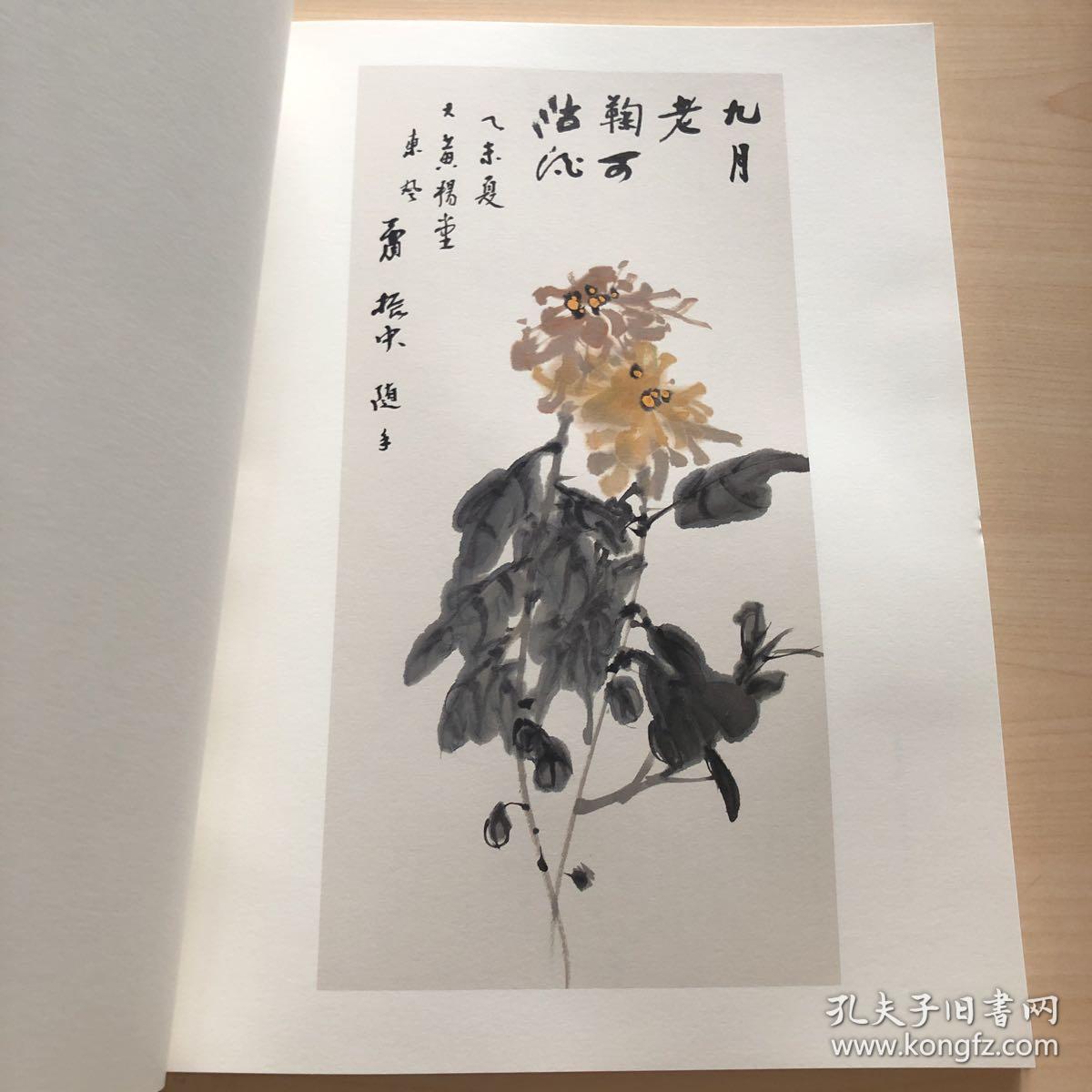 梦入芙蓉浦 萧振中中国画作品集