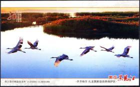 齐齐哈尔扎龙国家自然保护区马踏飞燕邮资明信片  编号11-230102-11-3010-004