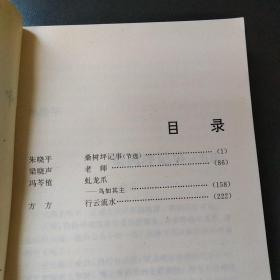 中国当代中篇小说选五