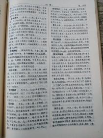 中医大辞典 医史文献分册