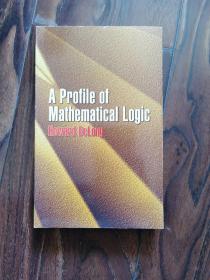 A Profile of Mathematical Logic