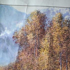 著名四川彩墨画家 李野林 被誉为宣纸上的油画 真迹 国画 画心长88宽66 终身保真