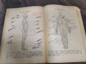 艺用人体解剖学（自然旧精装本，内页完整）