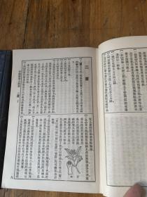 5338：中国医学大辞典【上下册】