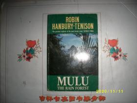 ROBIN HANBURY-TENISON     MULU THE RAIN FOREST