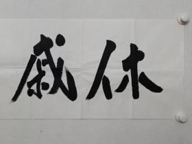 保真书画，中国国家画院副院长，著名画家范扬先生四尺对开书法一幅35.5×137cm