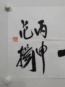 保真书画，中国国家画院副院长，著名画家范扬先生四尺对开书法一幅35.5×137cm