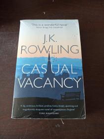 The Casual Vacancy