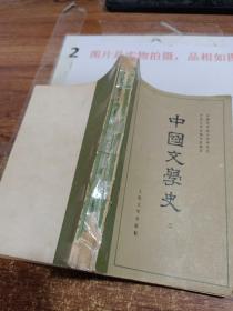 中国文学史（二）