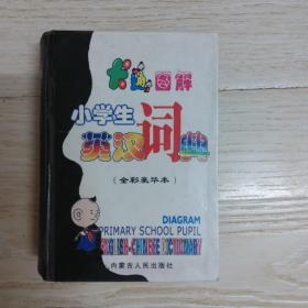 卡通图解小学生英汉词典..