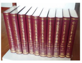 中国百科大辞典  （第二版）豪华精装  全10册