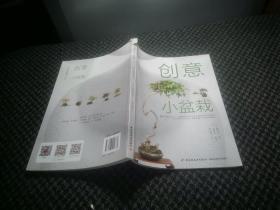 创意小盆栽