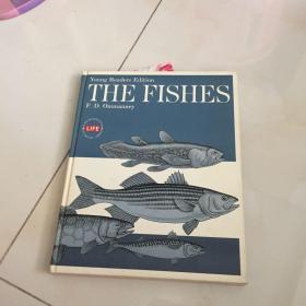 THE FISHES F.D.Ommanney