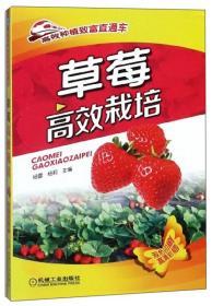 2019大棚草莓种植技术书籍 草莓高效栽培（双色印刷）/高效种植致富直通车