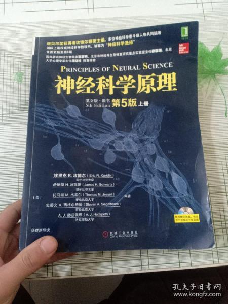 神经科学原理 英文版 原书 第五版 上册