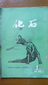 化石 试刊1
