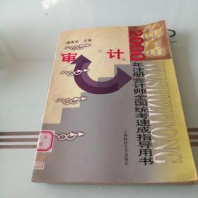 無師自通--審計  2001年