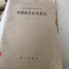 中国的介形类化石 1962年大 十六开 多图 馆藏 科学出版社 仅印1000册