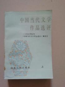 中国当代文学作品选评（上）