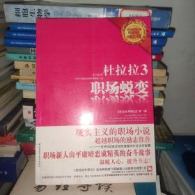 杜拉拉2：华年似水：《杜拉拉升职记》第二部