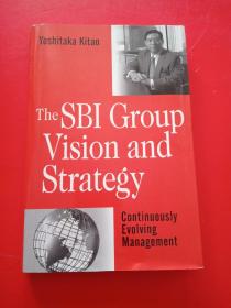 The SBl Group Vision and Strategy