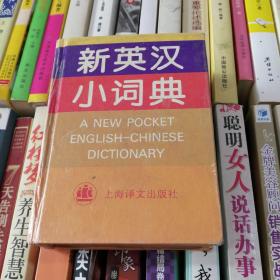 新英汉词典