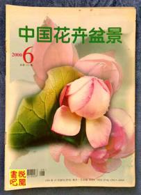 J22 《中国花卉盆景》 （2000年第06期总第185期）