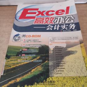 Excel高效办公会计实务