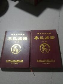 2008年《广东省平远县李氏族谱。上下册》