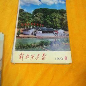 解放军画报1972【2.4.5.6.7.8.9.10.11.12】10本合售【11缺封皮2.6品偏弱书脊有开裂】