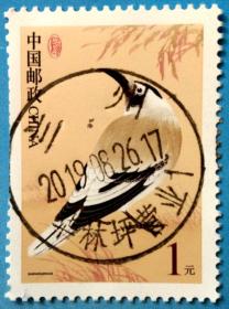 邮戳票 甘肃兰州地名戳 华林坪 兰州解放70周年纪念日