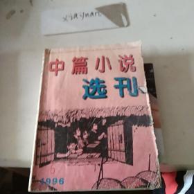 中篇小说选刊1996.6