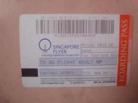 新加坡飞机票(3)