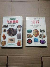 宝石：全世界130多种宝石的彩色图鉴+化石：全世界500多种化石的彩色图鉴【2本合售】品相如图