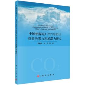 中国燃气电厂CCUS项目投资决策与发展潜力研究