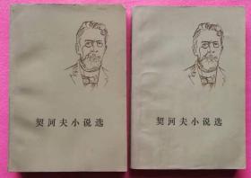 契诃夫小说选 上下册