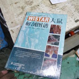 WISTAR大鼠解剖图谱