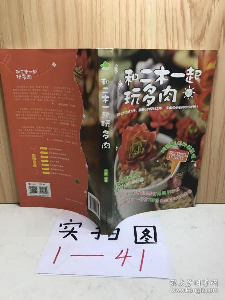 和二木一起玩多肉