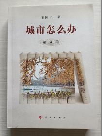 城市怎么办 第3卷 战略篇