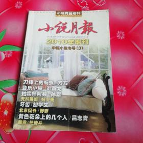 小说月报（2010年增刊，中篇小说专号〈3〉）