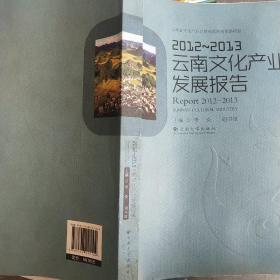 2012—2013云南文化产业发展报告