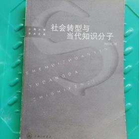 社会转型与当代知识分子