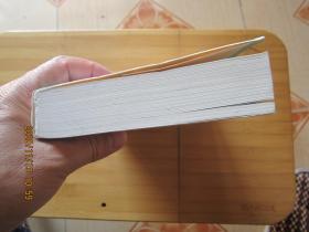 大问题：简明哲学导论