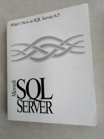 What,s New in SQL Server6.5 Microsoft  SQL SERVER