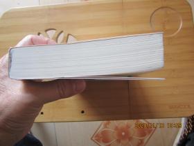 大问题：简明哲学导论