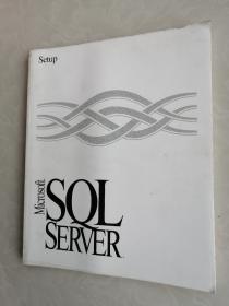 Setup  Microsoft  SQL SERVER