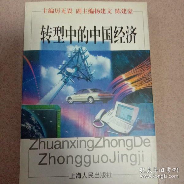转型中的中国经济