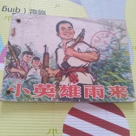 小英雄雨来