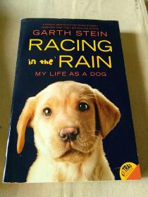 Racing in the Rain: My Life as a Dog